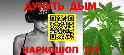 Альфа ПВП Кингисепп