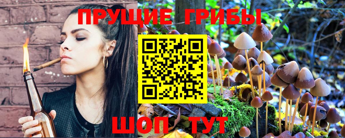 Псилоцибиновые грибы GOLDEN TEACHER Уварово